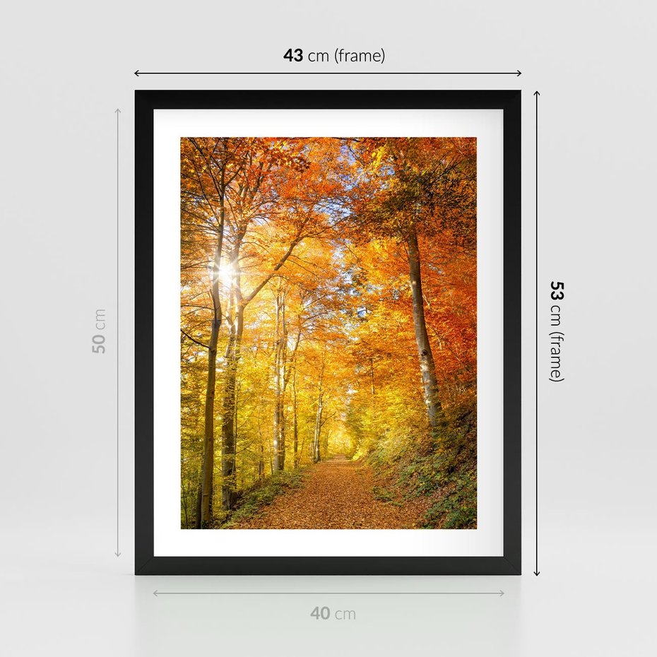 Plakat w ramie 40x50 - Złote barwy jesiennego lasu - las, jesień - rama czarna