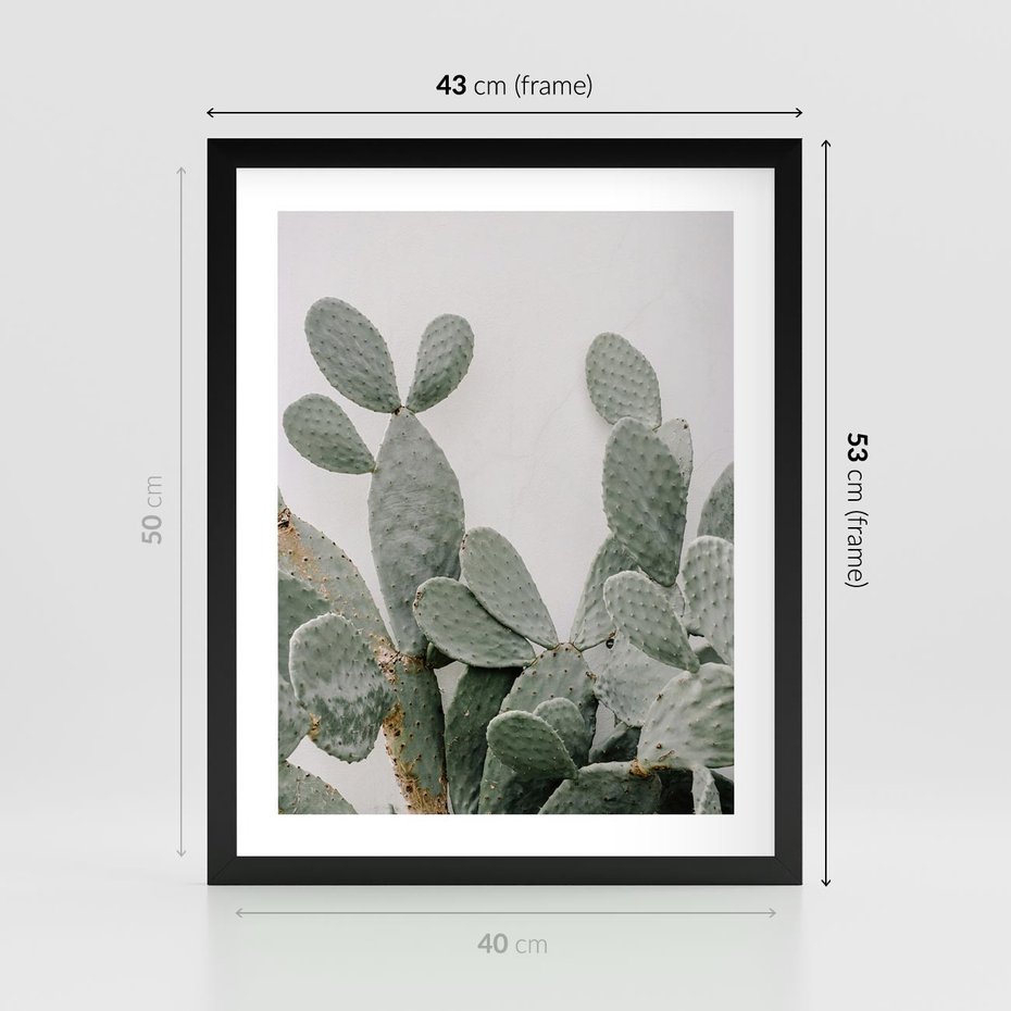 Plakat w ramie 40x50 - Imponujący Kaktus - duży kaktus, opuncja - rama czarna