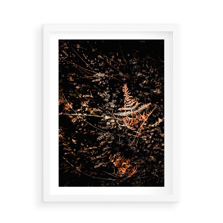 Plakat w ramie 50x70 - Jesienna Melodia - suche trawy, paprocie - rama biała