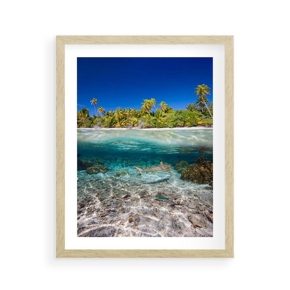Plakat w ramie 40x50 - Tropikalne Morze i Kolorowa Rafa - tropikalne, morze - rama drewno