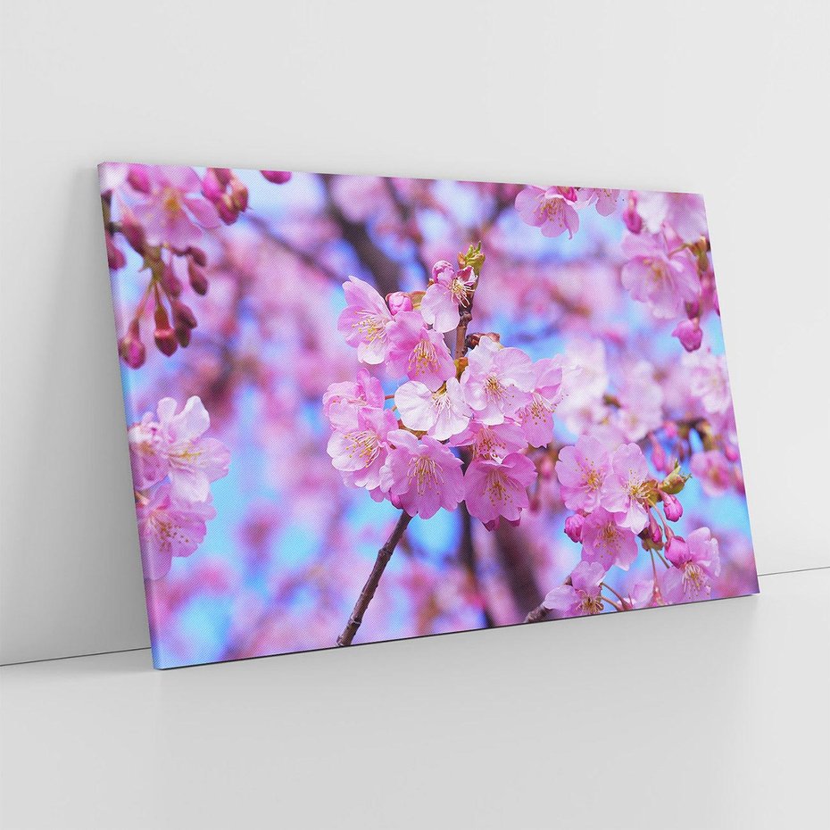 Obraz na płótnie 70x50 - magia kolorów - kwiat, kwiaty