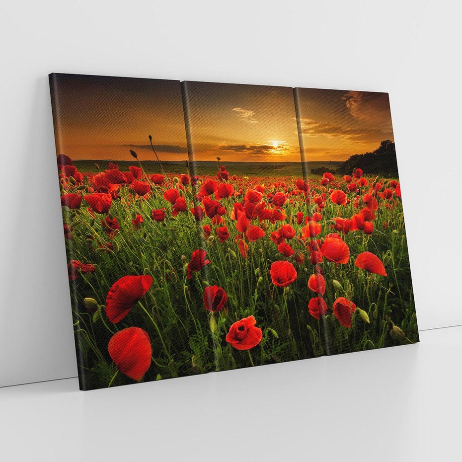 Obraz na płótnie 120x80 - Maki na łące: Przebudzenie wiosny - mak, maki