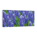 Obraz na płótnie 120x60 - Urok Lawendy - lawenda, kwiat