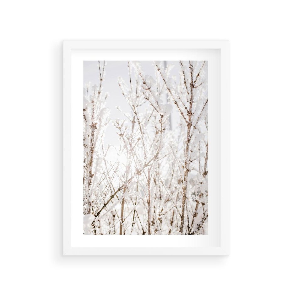 Plakat w ramie 30x40 - Szron na Gałęziach - ośnieżone gałązki, szron na gałęziach - rama biała