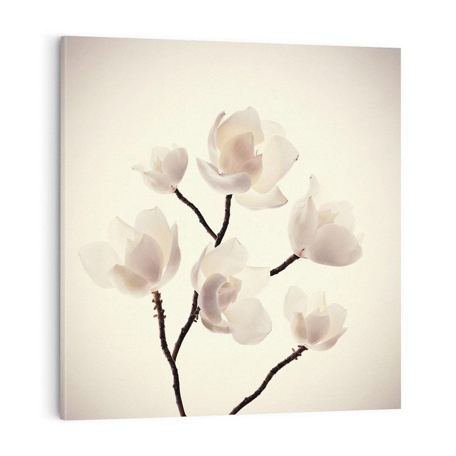 Obraz na płótnie 50x50 - Elegancja Natury - magnolia, białe