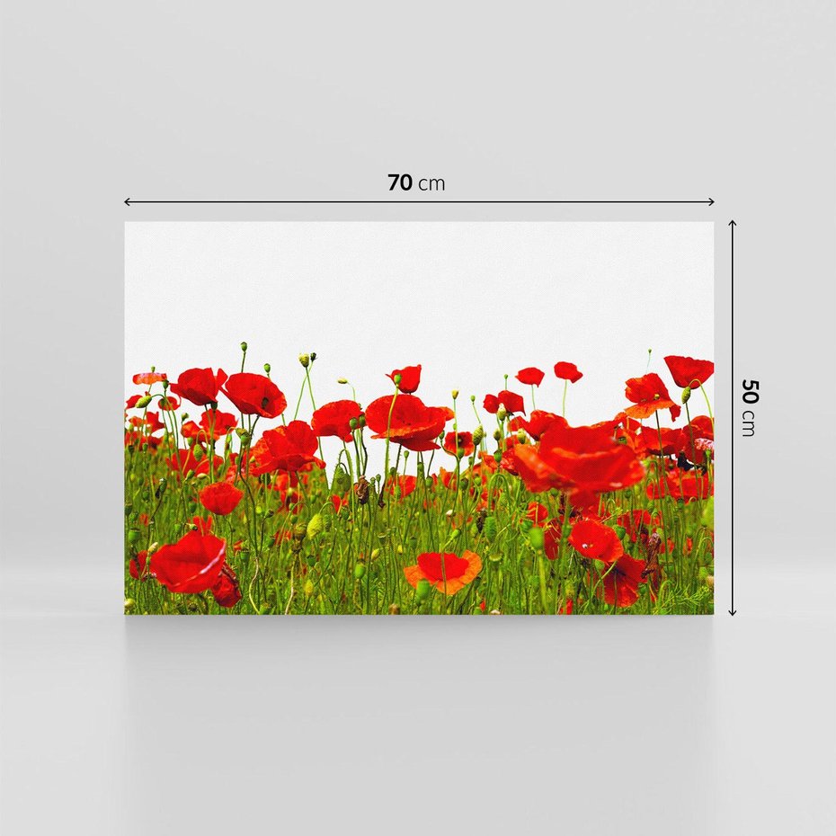 Obraz na płótnie 70x50 - Bujne maki na malowniczej łące - mak, maki