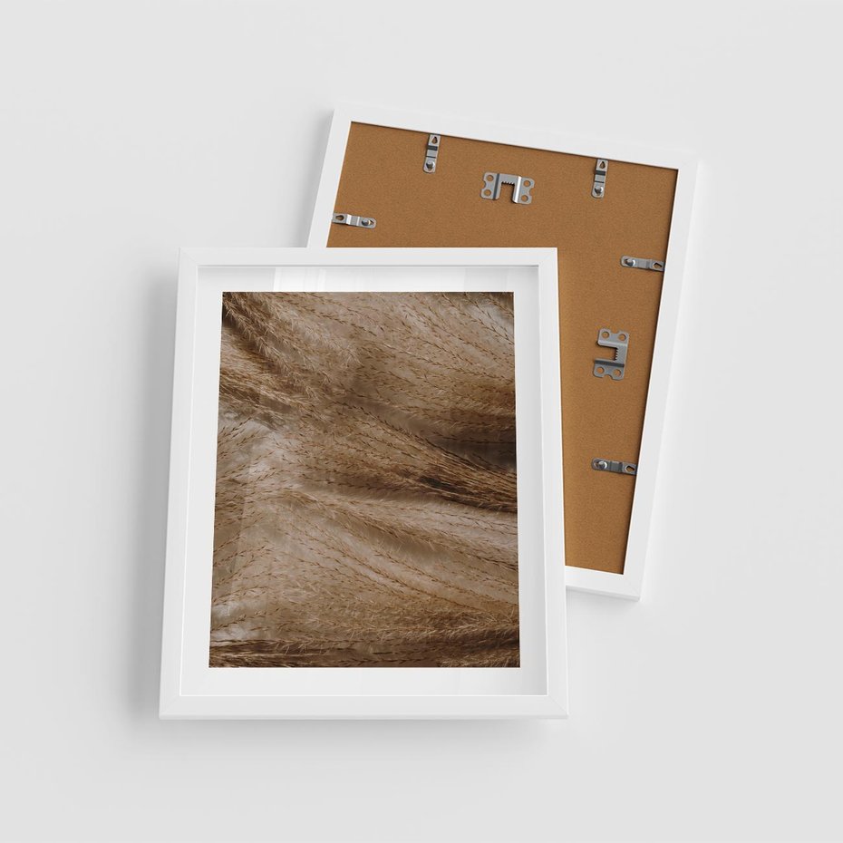 Plakat w ramie 40x50 - Pampasowy Brąz - suche trawy, trawa pampasowa - rama biała