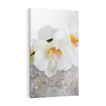 Obraz na płótnie 50x70 - Kwiatowy rój - kwiaty, kwiat