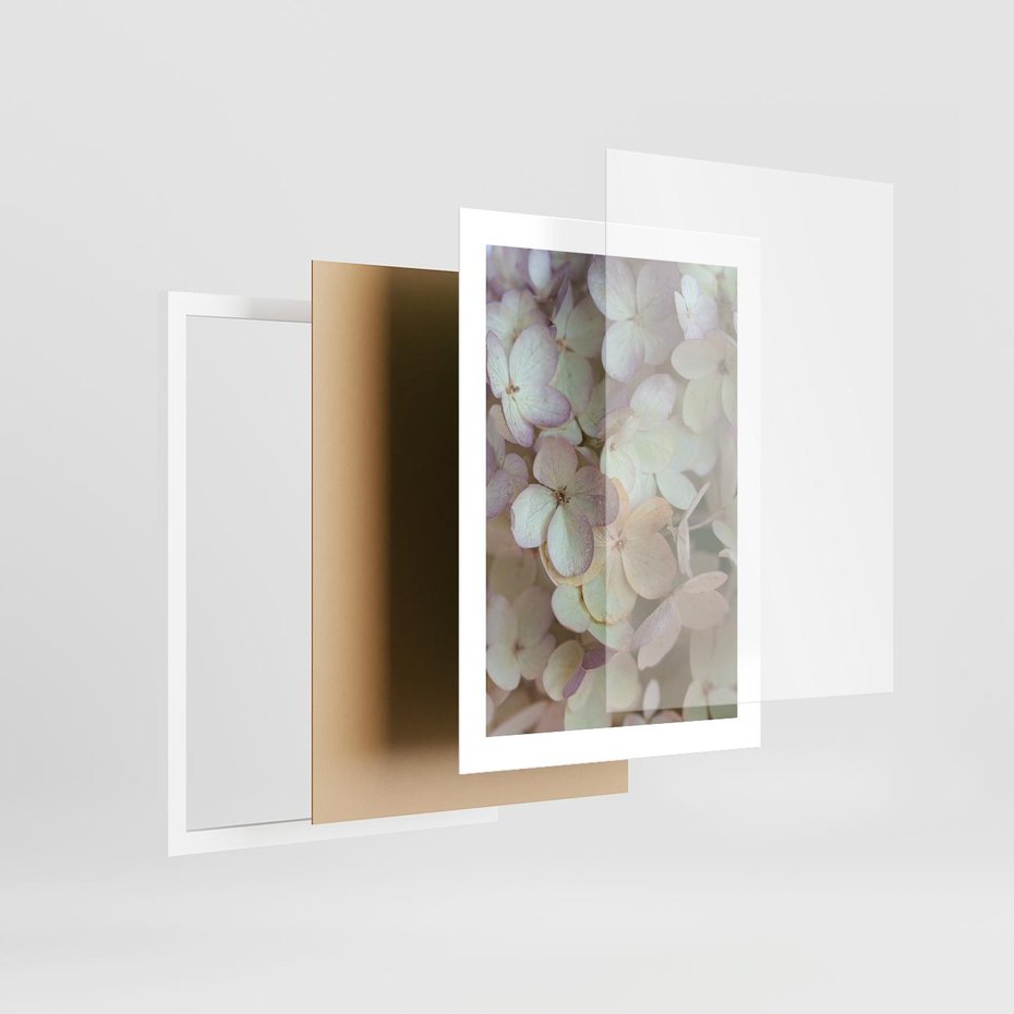 Plakat w ramie 30x40 - Kwiatowy taniec - kwiaty, hortensje - rama biała