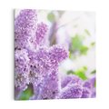 Obraz na płótnie 50x50 - Delikatny liliowy dotyk - lilie, fiolet