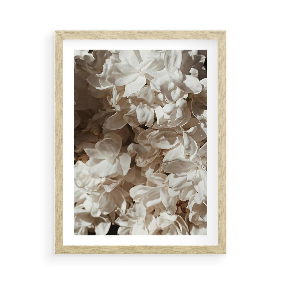 Plakat w ramie 50x70 - Płatki w Detalu - białe kwiaty, zbliżenie - rama drewno
