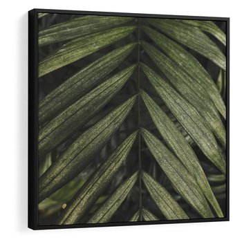 Obraz w ramie 50x50 - W Liściach Ukryte - zdjęcie, fotografia - rama czarna