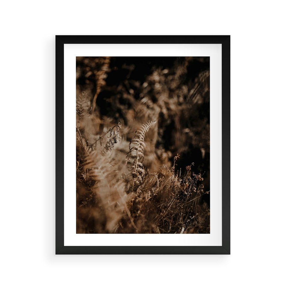 Plakat w ramie 40x50 - Delikatne Detale - paprocie, brąz - rama czarna