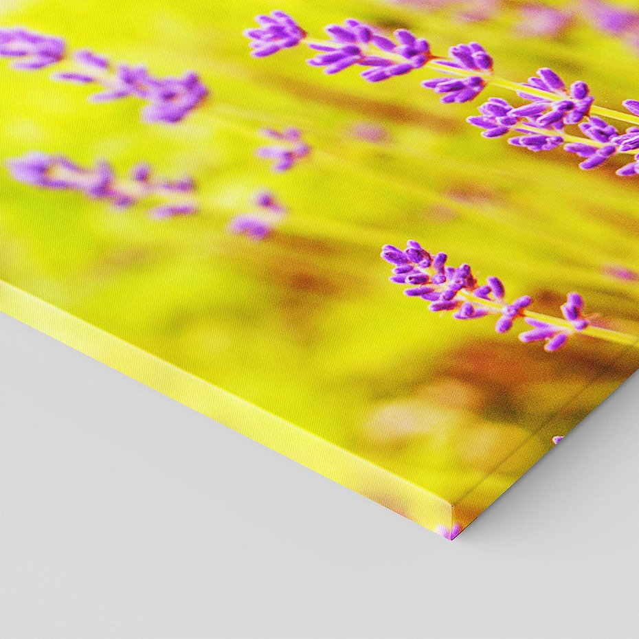 Obraz na płótnie 100x50 - Delikatność natury - lawenda, kwiaty