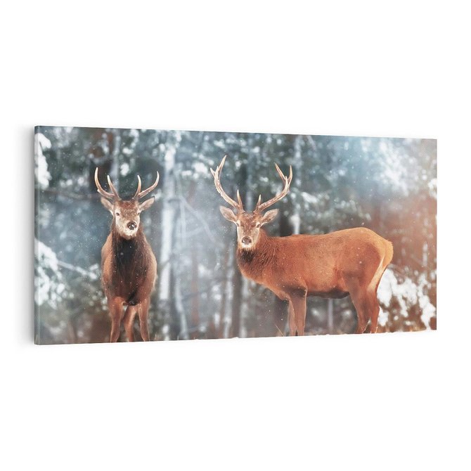 Obraz na płótnie 100x50 - Mroźne Spotkanie w Leśnej Krainie - dwa jelenie, zima