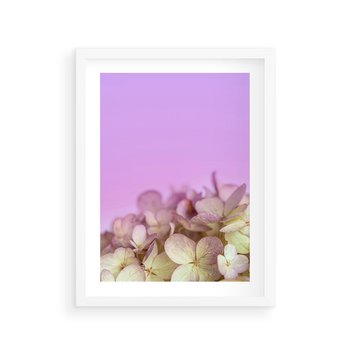 Plakat w ramie 30x40 - Kwiatowa Uroda - kwiaty, hortensje - rama biała
