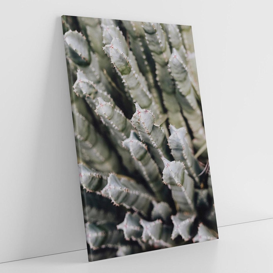 Obraz na płótnie 50x70 - Boho kaktusy na pustyni - kaktusy, pustynia