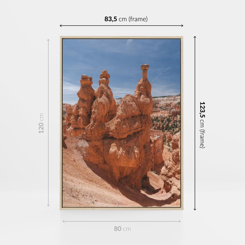 Obraz w ramie 80x120 - Spektakularne Formacje Naturalne - kanion, pustynia - rama drewno