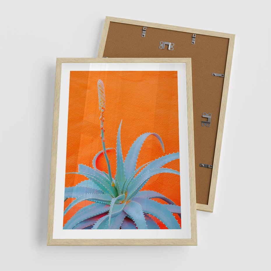 Plakat w ramie 50x70 - Naturalna Harmonia - kaktusy, liście - rama drewno