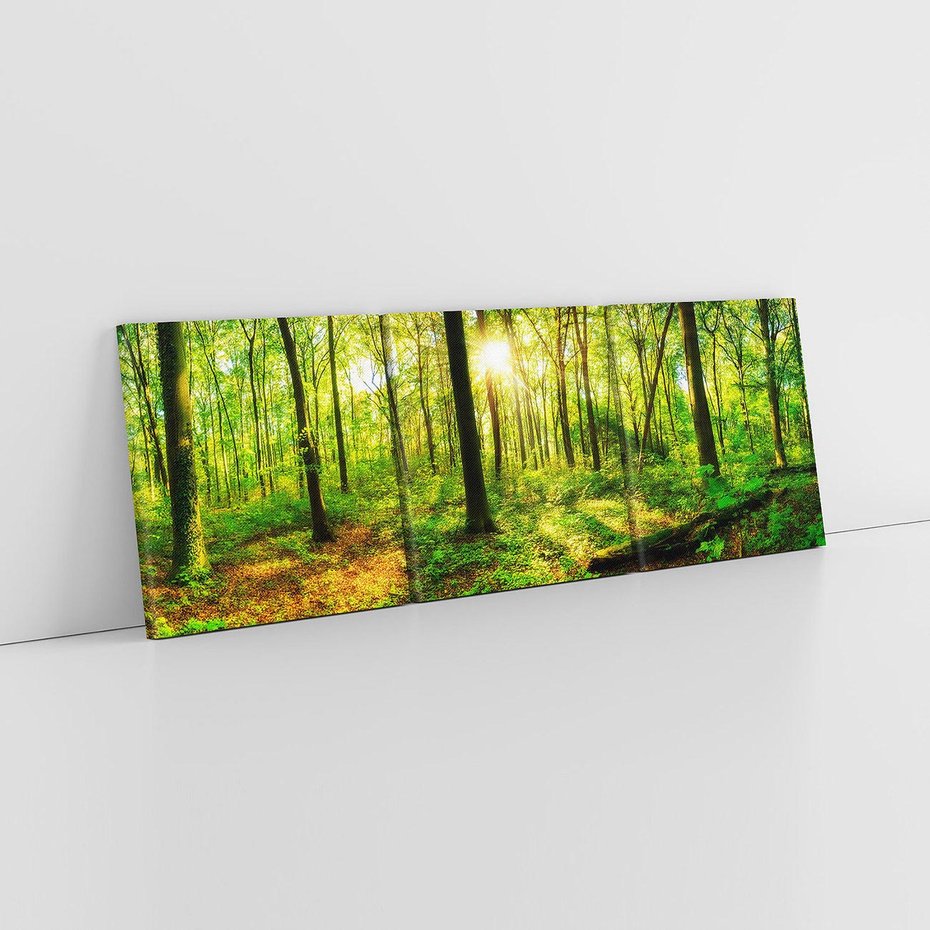 Obraz na płótnie 120x40 - Mistyfikujący las - las, drzewa