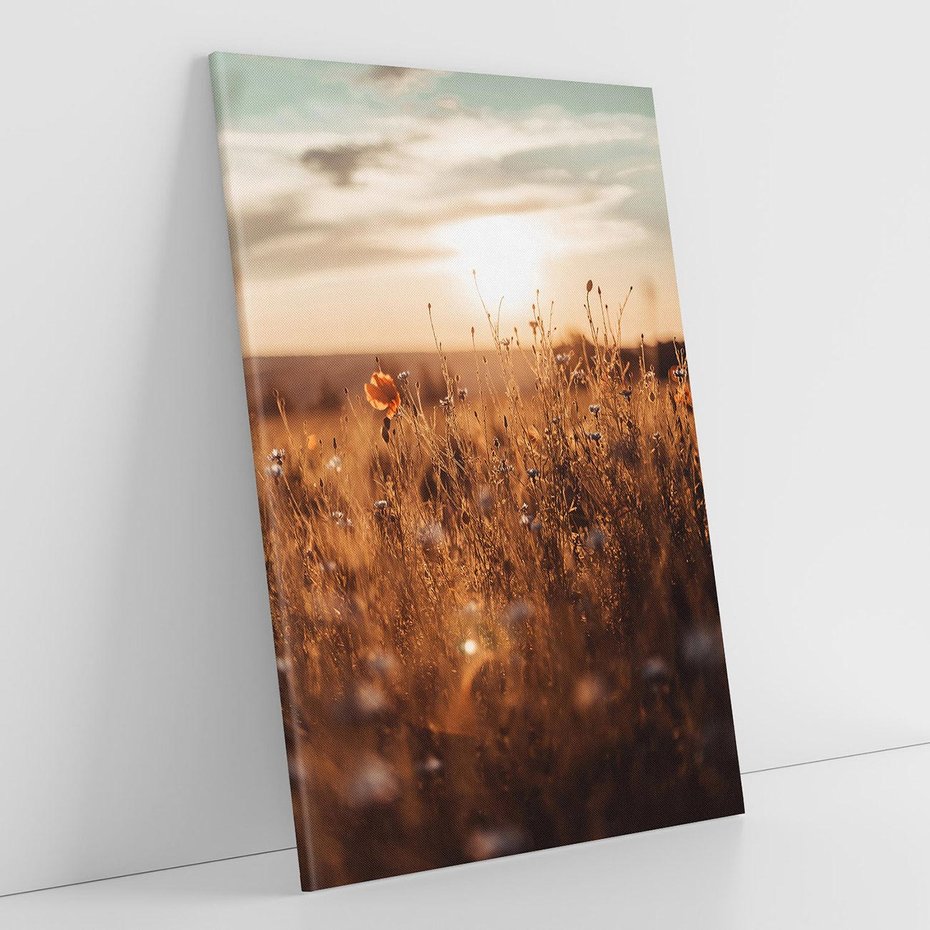 Obraz na płótnie 70x100 - Zachwyt zachodem słońca na łące - zachód, słońca