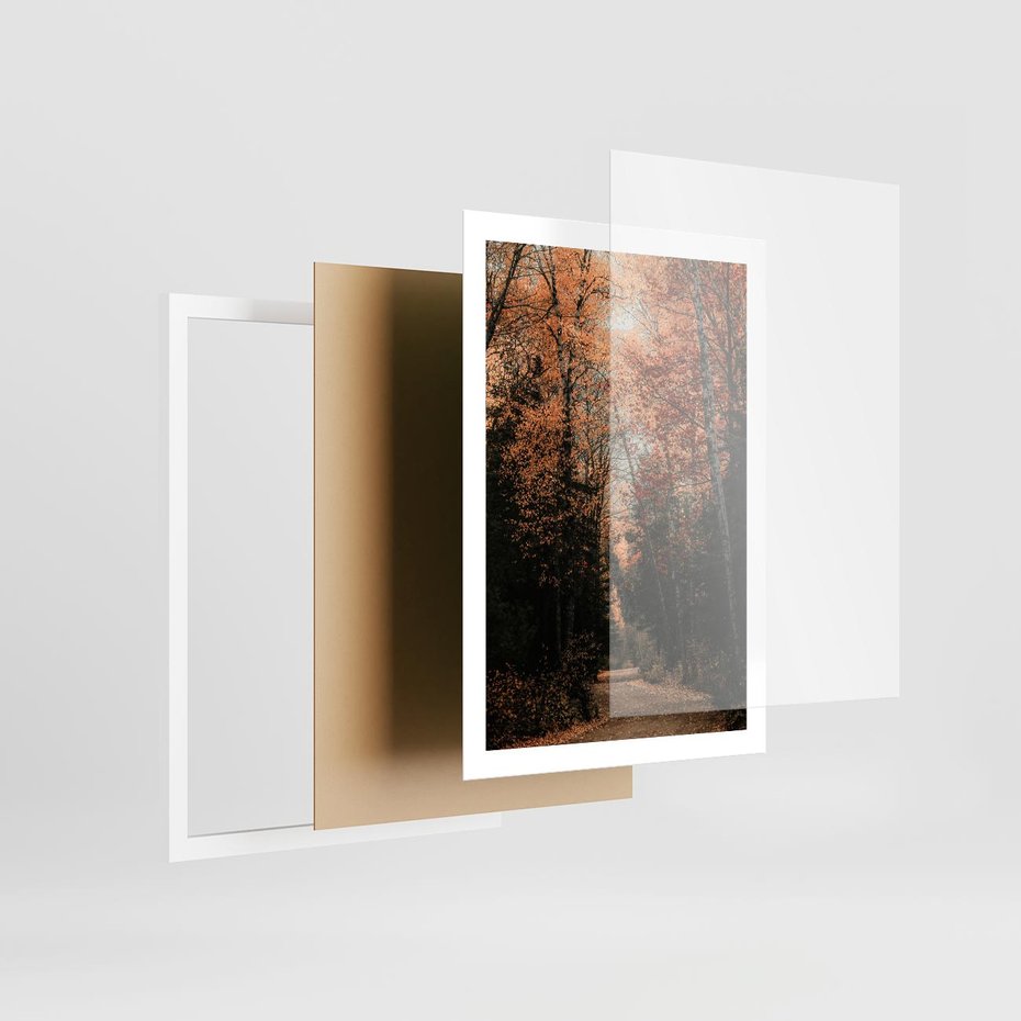Plakat w ramie 50x70 - Drzewa w Czerwonych Liściach - las, jesienny las - rama biała
