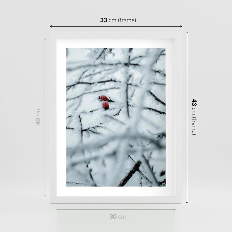 Plakat w ramie 30x40 - Zima w Detalu: Gałęzie ze Szronem i Śniegiem - śnieg, zima - rama biała