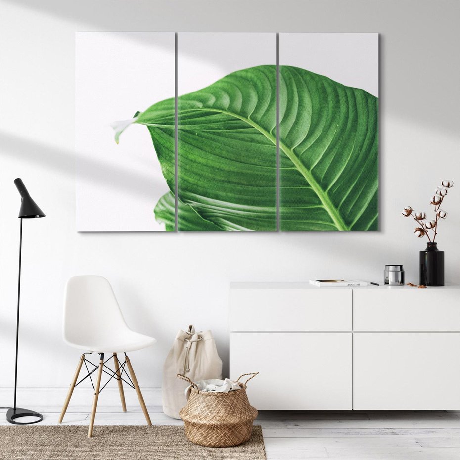 Obraz na płótnie 120x80 - Zielone liście monstery - liście, monstera