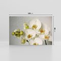 Obraz na płótnie 120x80 - Elegancka uroda orchidei - orchidea, kwiaty