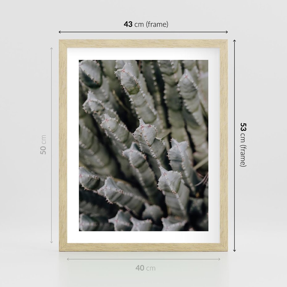 Plakat w ramie 40x50 - Oaza Natury - sukulenty, kaktusy - rama drewno