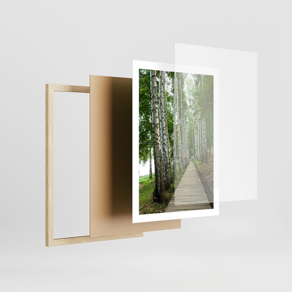 Plakat w ramie 50x70 - Spacer ścieżką przez brzozowy las - las, ścieżka - rama drewno