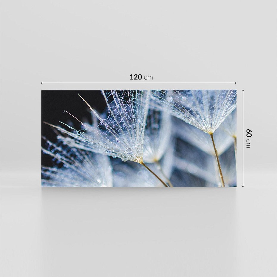 Obraz na płótnie 120x60 - Makro piękno dmuchawców - makro, dmuchawce