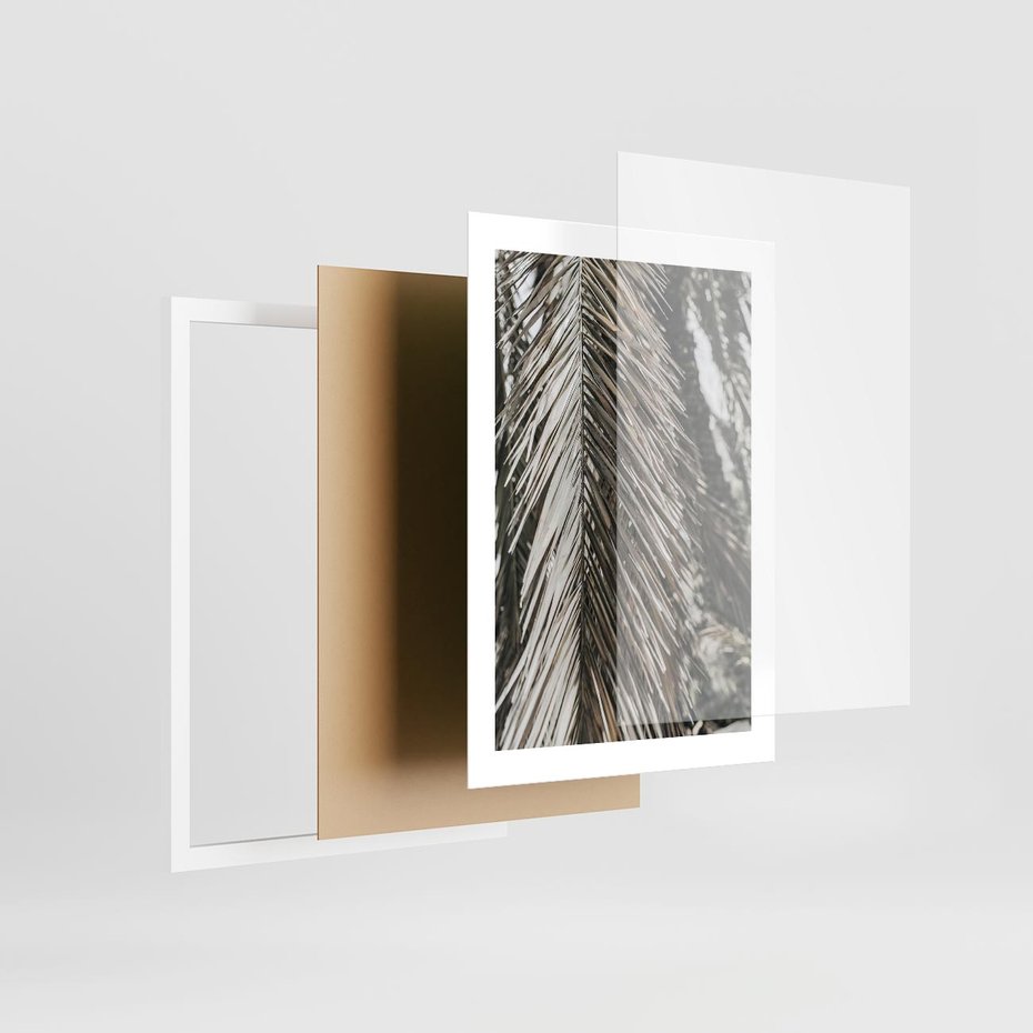 Plakat w ramie 30x40 - Egzotyczne Gałęzie - suche gałęzie, liście palmy - rama biała