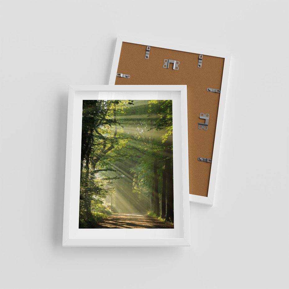 Plakat w ramie 30x40 - harmonia natury - las, drzewa - rama biała