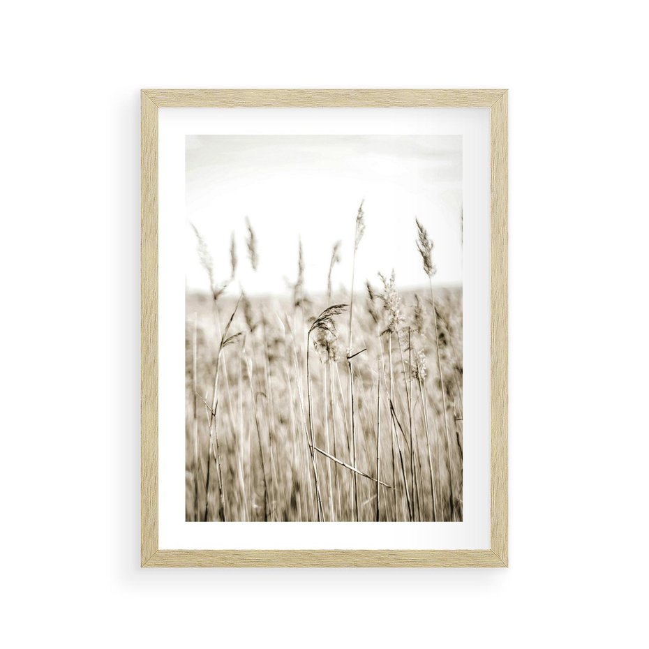 Plakat w ramie 30x40 - Nostalgiczny Pejzaż - suche trawy, pole - rama drewno