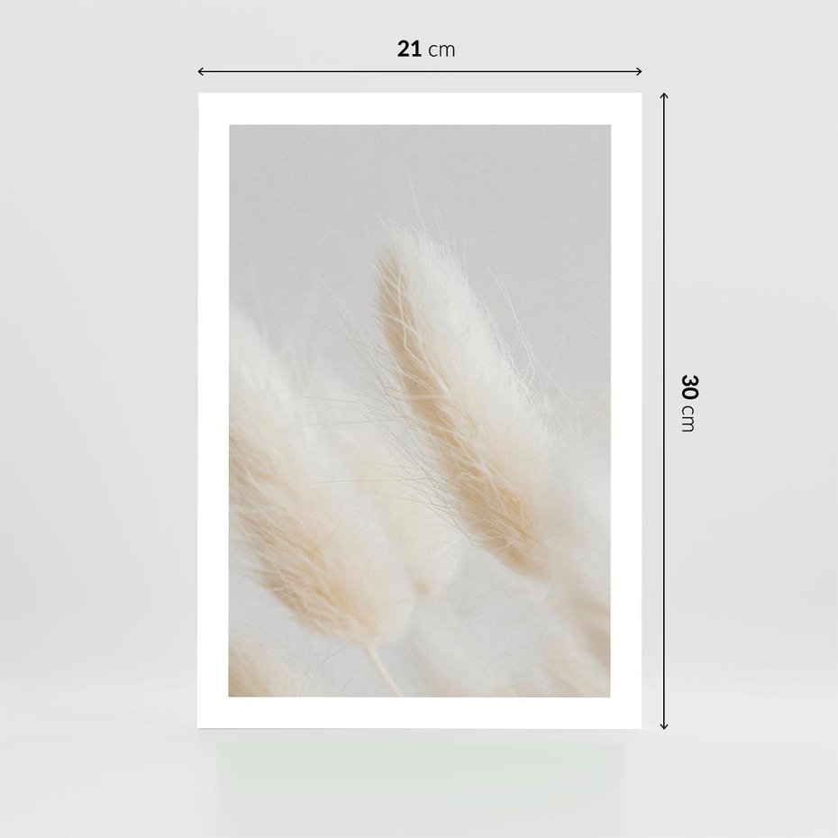 Plakat bez ramy 21x30 - Czysty Minimalizm - białe trawy, minimalizm