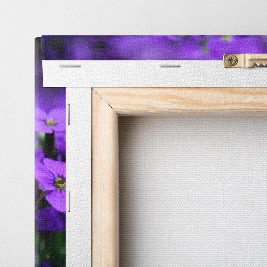 Obraz na płótnie 80x80 - Kwiatowe uniesienia magia natury - kwiat, kwiaty