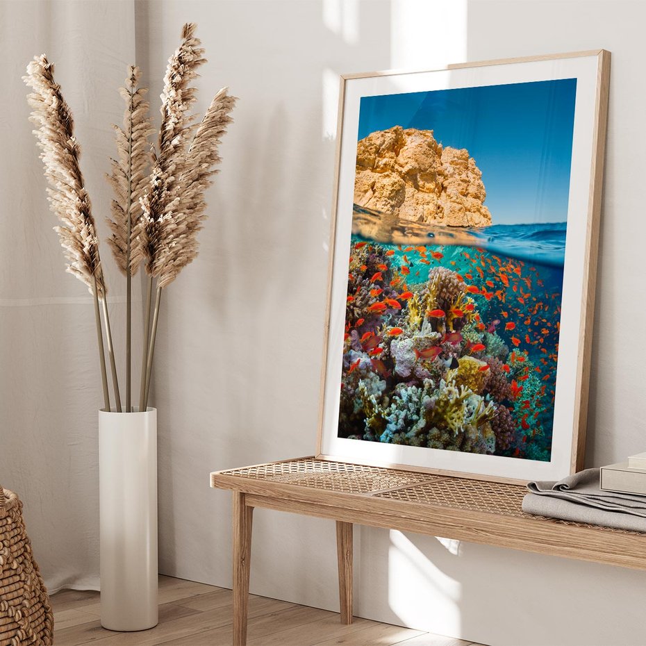 Plakat w ramie 50x70 - Rafa koralowa w oceanie - rafa, koralowa - rama drewno