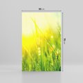 Obraz na płótnie 50x70 - Piękno Poranka - łąka, trawa