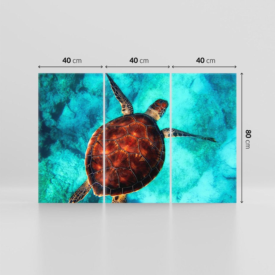 Obraz na płótnie 120x80 - Morze, fale i skały - żółw, morze