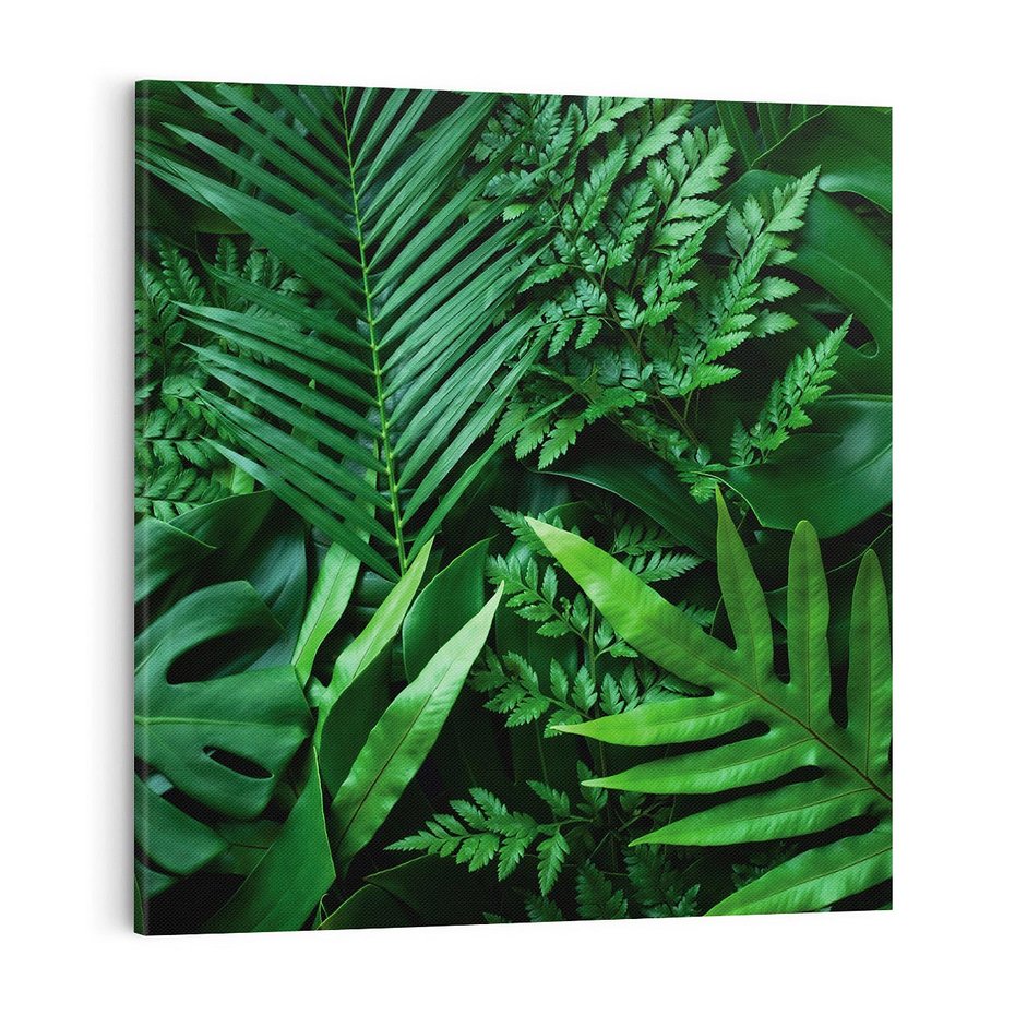 Obraz na płótnie 40x40 - Monstera Liście Fantazja - monstera, liście