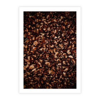 Plakat bez ramy 21x30 - Jesienny Dywan - dywan z suchych liści, jesień