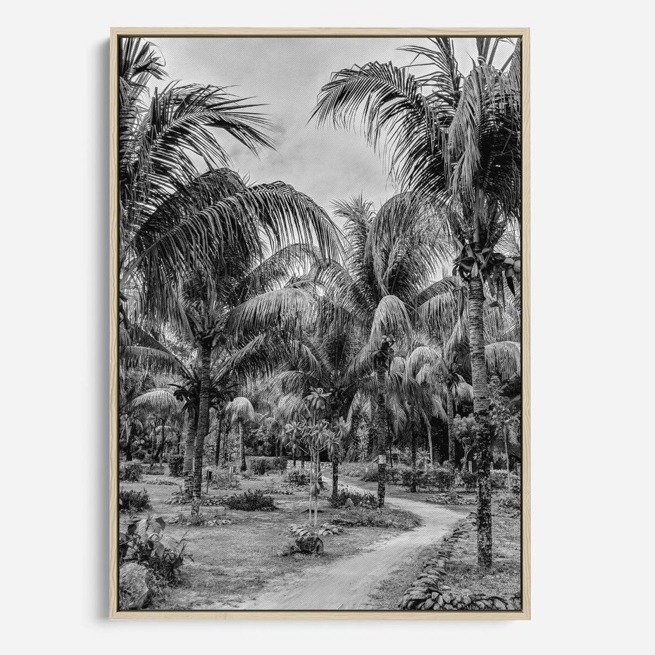 Obraz w ramie 80x120 - Mroczna Ścieżka Tropików - czarno biała fotografia, ścieżka pośród palm - rama drewno