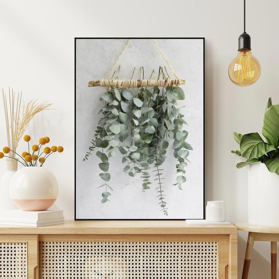 Obraz w ramie 70x100 - Uwodzicielska zieleń eukaliptusa - eukaliptus, zielone - rama czarna