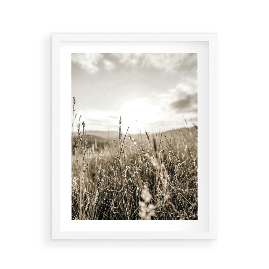 Plakat w ramie 40x50 - Łąka w Klimacie Sepii - suche trawy, łąka - rama biała