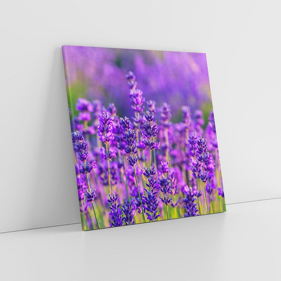 Obraz na płótnie 80x80 - Zaklęta lawenda - lawenda, kwiaty