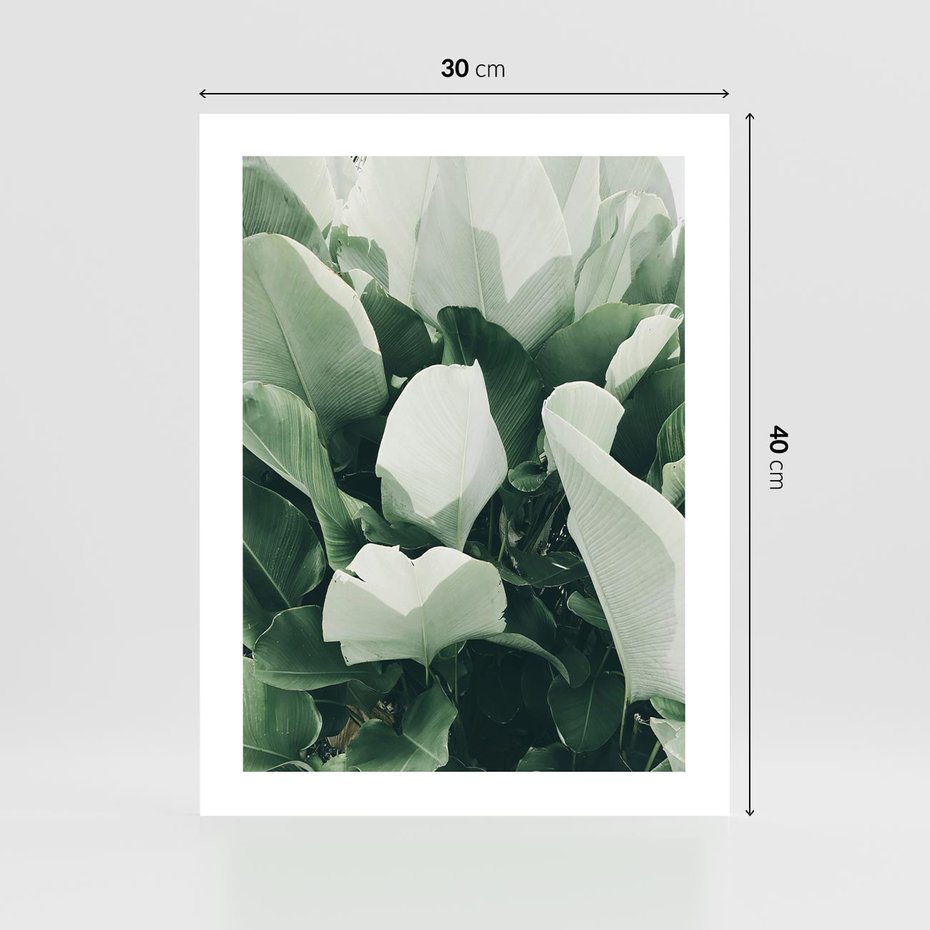 Plakat bez ramy 30x40 - Zgaszona Uroda Natury - zielone liście, zgaszona zieleń