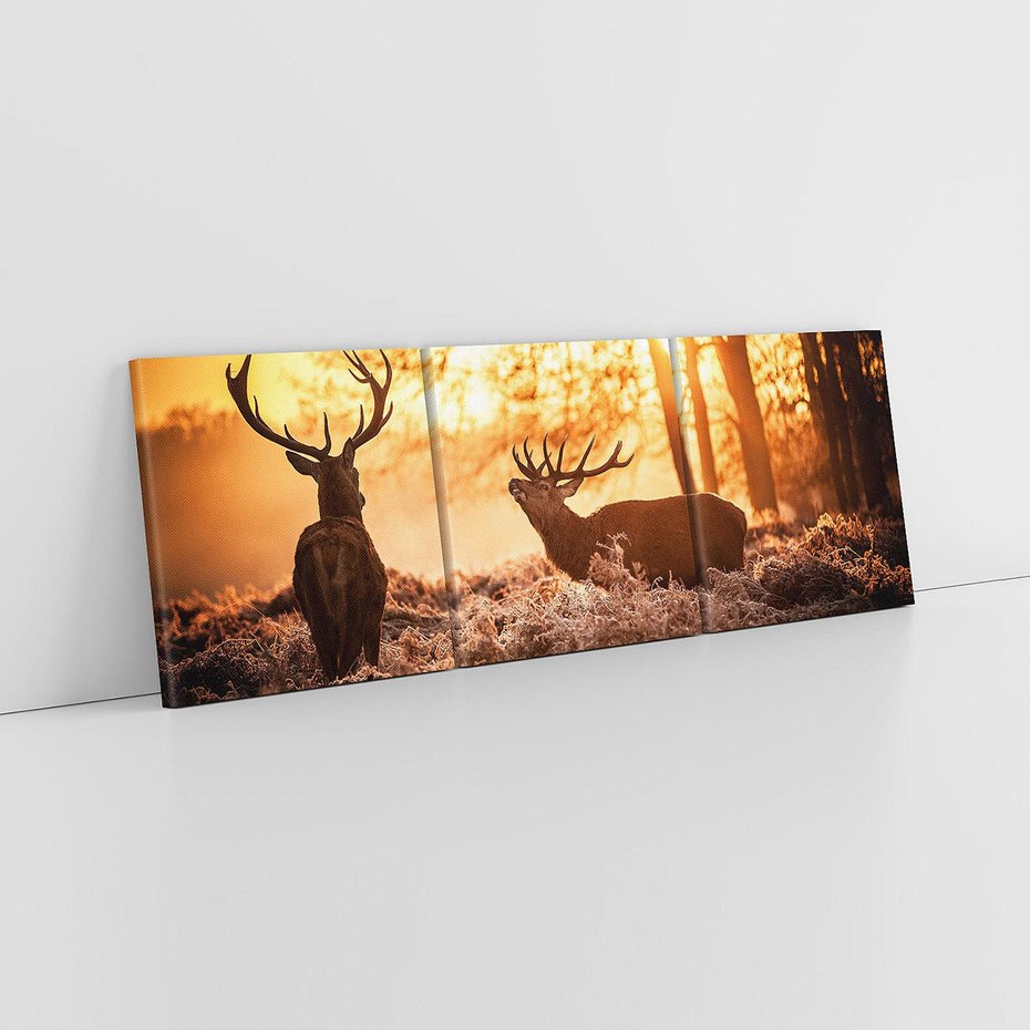 Obraz na płótnie 150x50 - Jeleń w lesie: Spotkanie w dziczy - jeleń, jelenie