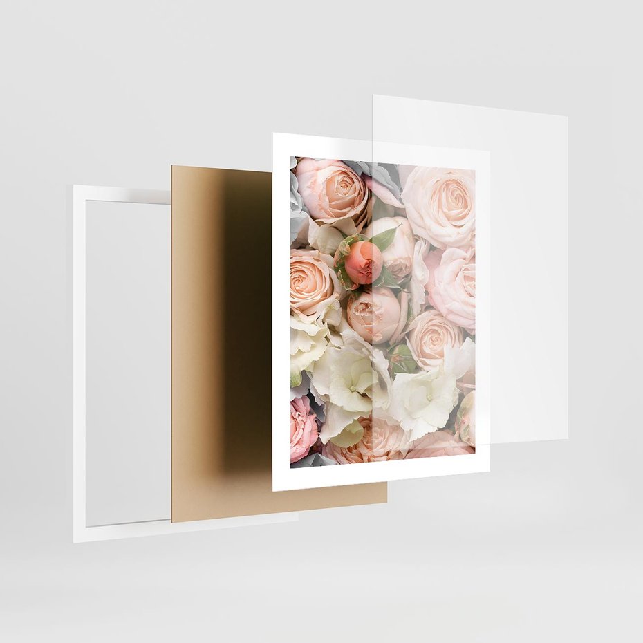 Plakat w ramie 40x50 - Kwiatowy Rarytas: Róże w Herbacianym Zbliżeniu - kwiaty, herbaciane - rama biała