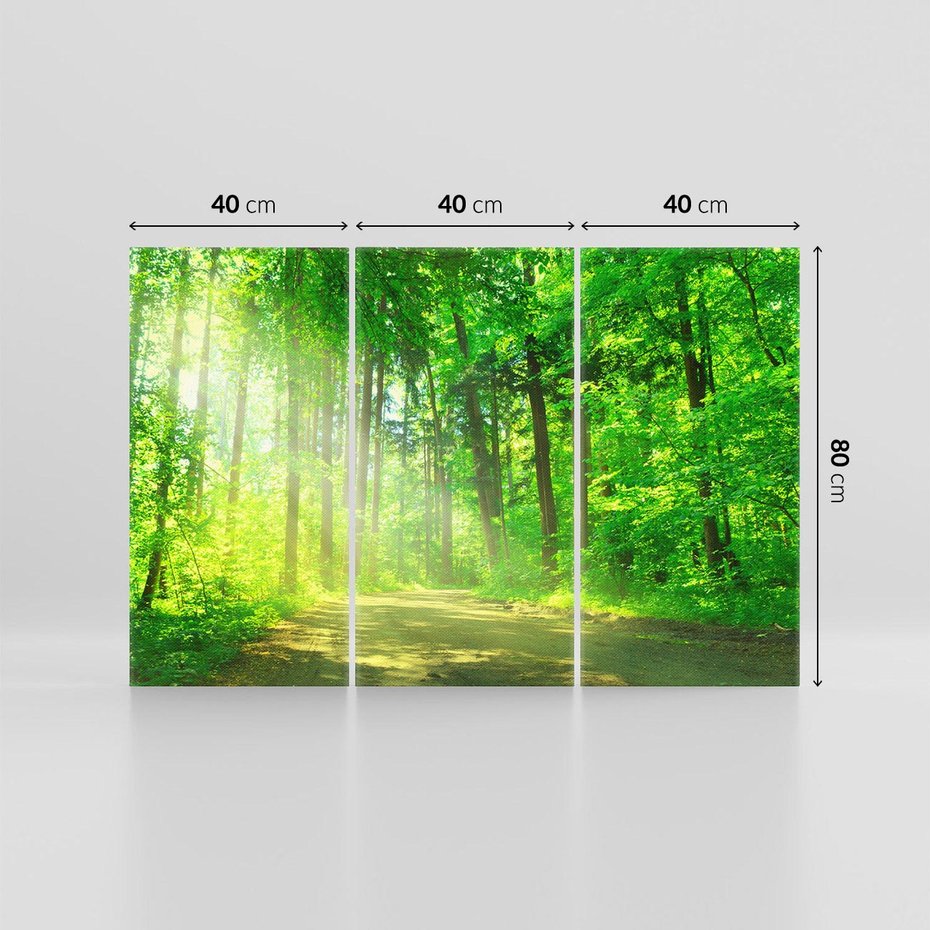 Obraz na płótnie 120x80 - Urok lasu na drodze - las, drzewa